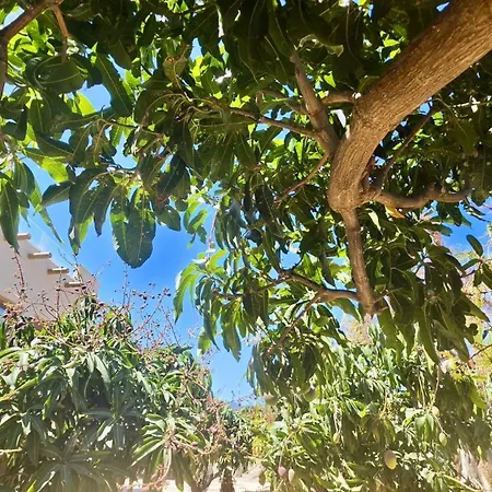 Apartman Riscotierra *